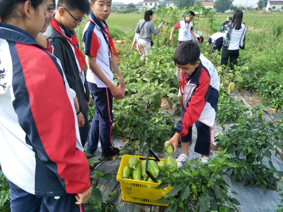 宝应县科协开展"2019年农村青少年校外教育项目"暑期实践活动
